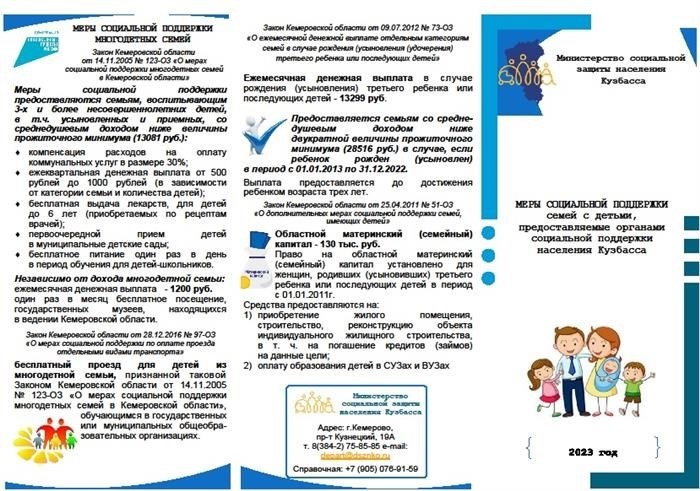 Меры социальной поддержки многодетных семей