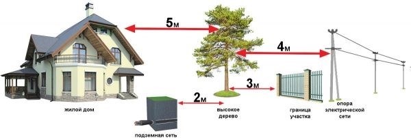 Планирование плодовых деревьев